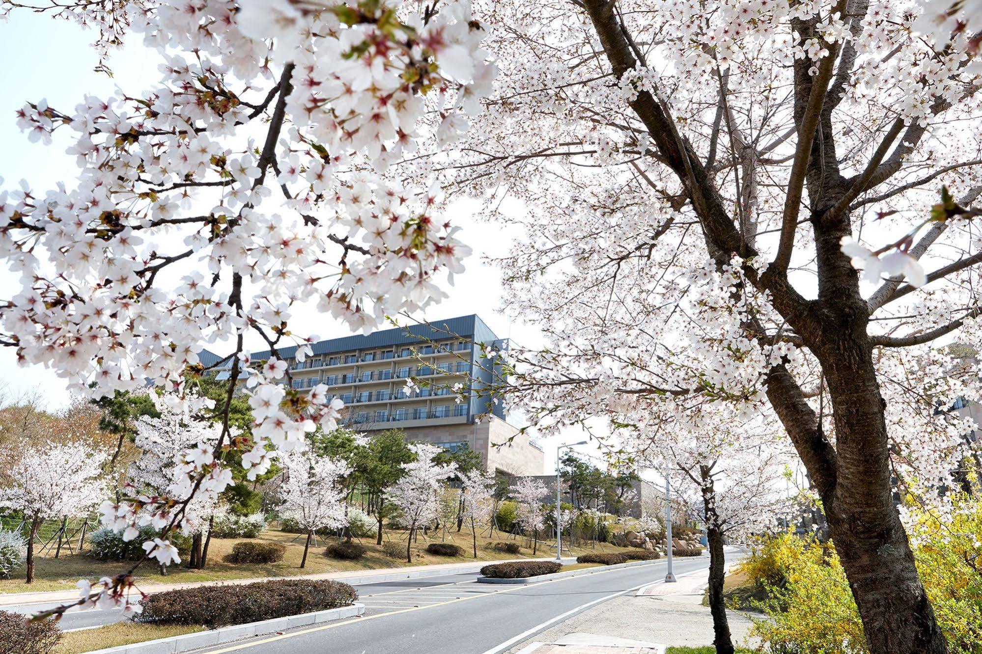 Blue One Resort Gyeongju Exterior photo